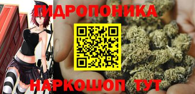 винт Будённовск