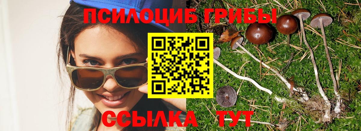 Галлюциногенные грибы Cubensis Нефтекумск