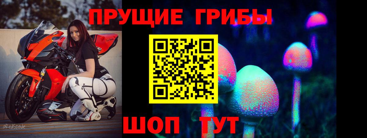 где найти наркотики  Вход с VPN  Нефтекумск  Галлюциногенные грибы Magic Shrooms 