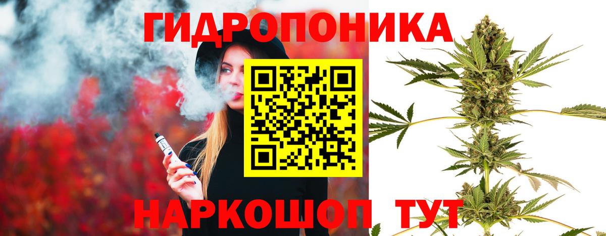 Конопля сатива Нефтекумск